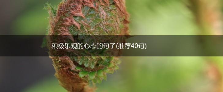 积极乐观的心态的句子(推荐40句),第1张 积极乐观的心态的句子(推荐40句),第1张