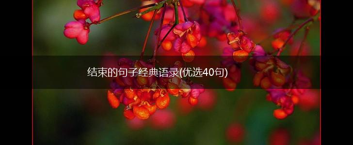 结束的句子经典语录(优选40句),第1张