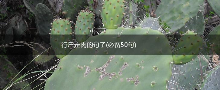 行尸走肉的句子(必备50句),第1张