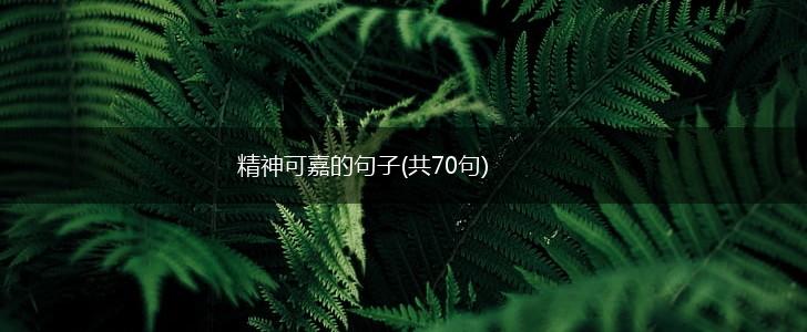 精神可嘉的句子(共70句),第1张