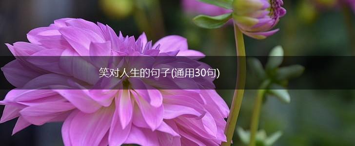 笑对人生的句子(通用30句),第1张
