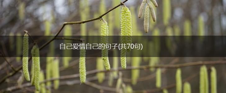 自己爱惜自己的句子(共70句),第1张