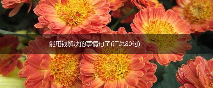 能用钱解决的事情句子(汇总80句),第1张