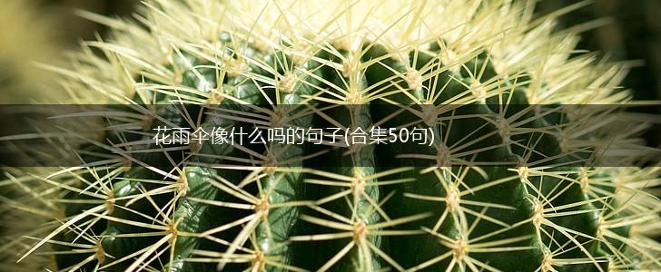 花雨伞像什么吗的句子(合集50句),第1张