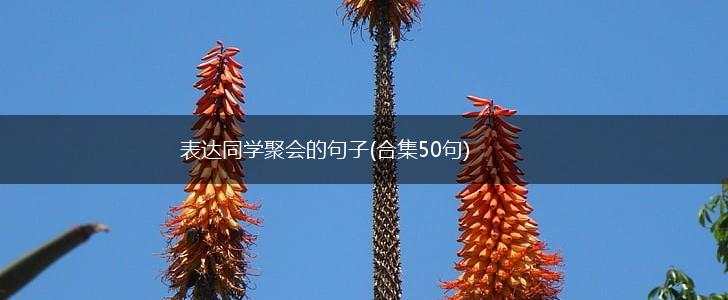 表达同学聚会的句子(合集50句),第1张