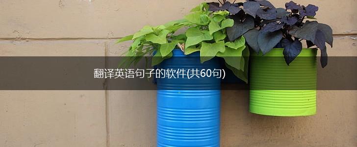 翻译英语句子的软件(共60句),第1张