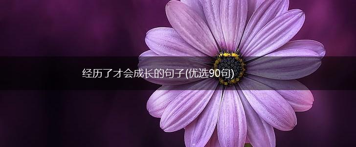 经历了才会成长的句子(优选90句),第1张