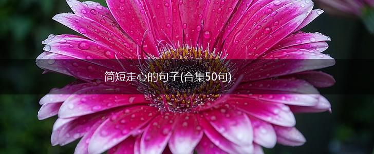 简短走心的句子(合集50句),第1张