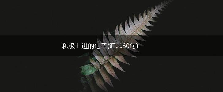 积极上进的句子(汇总60句),第1张