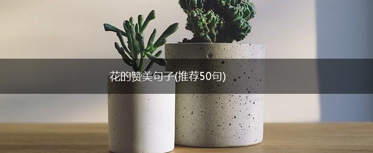 花的赞美句子(推荐50句),第1张