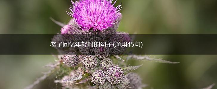 老了回忆年轻时的句子(通用45句),第1张
