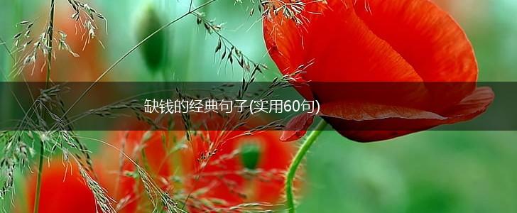 缺钱的经典句子(实用60句),第1张