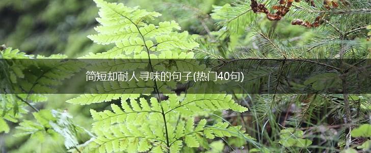 简短却耐人寻味的句子(热门40句),第1张