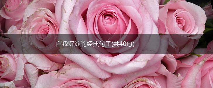 自我沉淀的经典句子(共40句),第1张