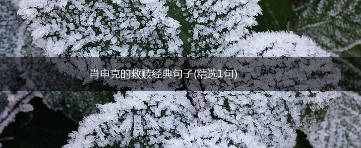 肖申克的救赎经典句子(精选1句),第1张
