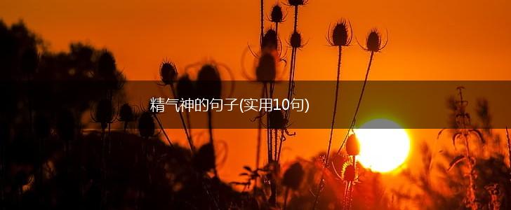 精气神的句子(实用10句),第1张