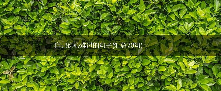 自己伤心难过的句子(汇总70句),第1张