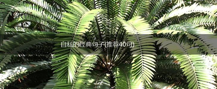 自私的经典句子(推荐40句),第1张