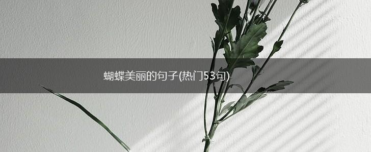 蝴蝶美丽的句子(热门53句),第1张
