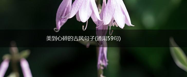 美到心碎的古风句子(通用59句),第1张