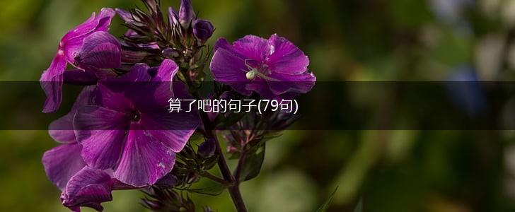 算了吧的句子(79句),第1张