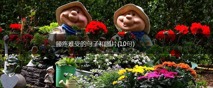 腰疼难受的句子和图片(10句),第1张