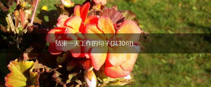 结束一天工作的句子(共30句),第1张