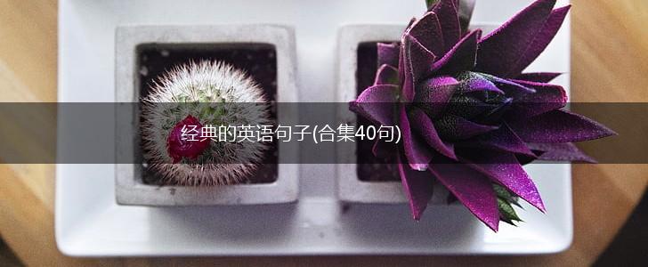 经典的英语句子(合集40句),第1张 经典的英语句子(合集40句),第1张