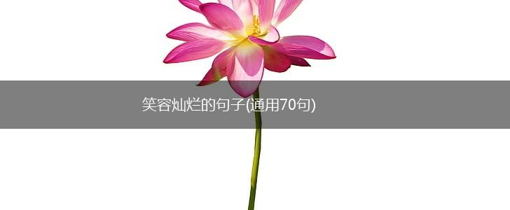 笑容灿烂的句子(通用70句),第1张