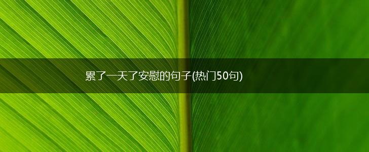 累了一天了安慰的句子(热门50句),第1张