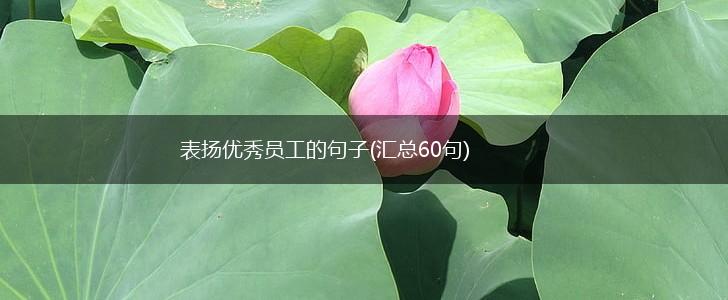 表扬优秀员工的句子(汇总60句),第1张