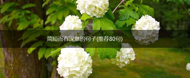 简短而有深意的句子(推荐80句),第1张