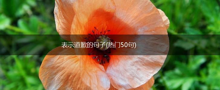 表示道歉的句子(热门50句),第1张