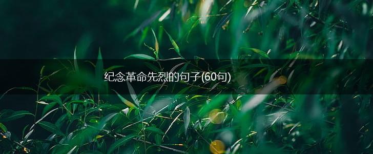 纪念革命先烈的句子(60句),第1张