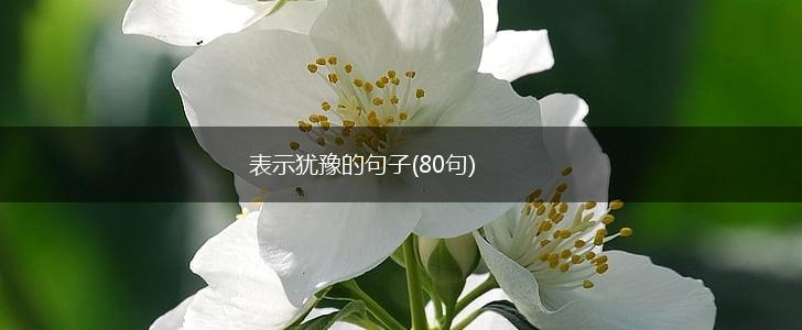 表示犹豫的句子(80句),第1张