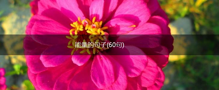 能量的句子(60句),第1张