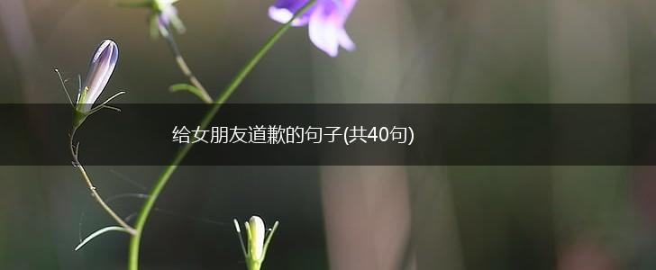 给女朋友道歉的句子(共40句),第1张
