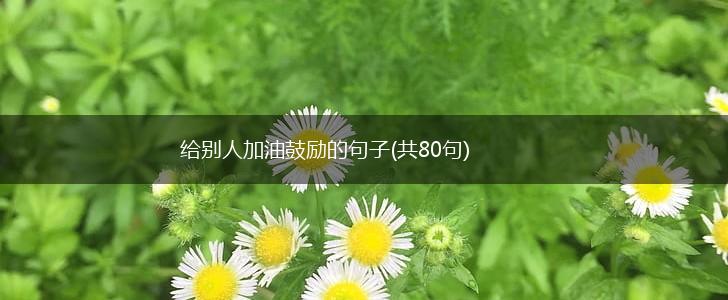给别人加油鼓励的句子(共80句),第1张