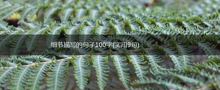 细节描写的句子100字(实用9句),第1张