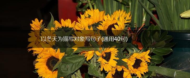 以冬天为描写对象写句子(通用40句),第1张
