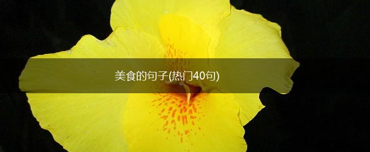美食的句子(热门40句),第1张