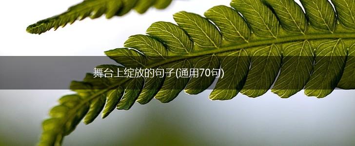 舞台上绽放的句子(通用70句),第1张