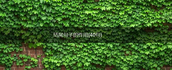 结尾句子的作用(40句),第1张