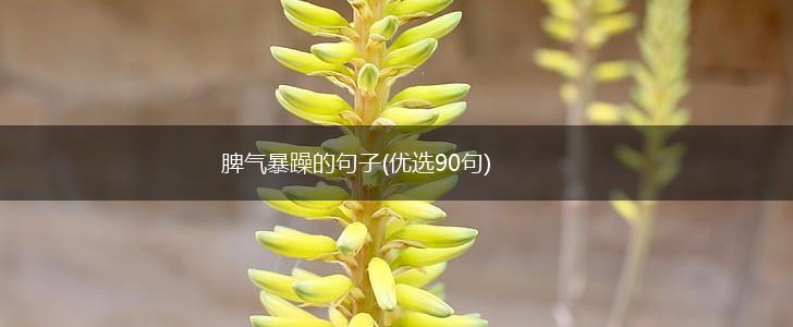 脾气暴躁的句子(优选90句),第1张