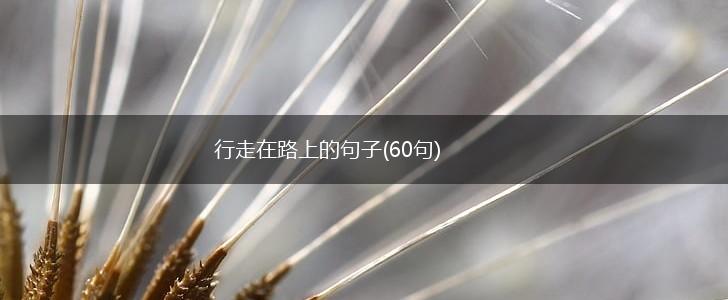 行走在路上的句子(60句),第1张