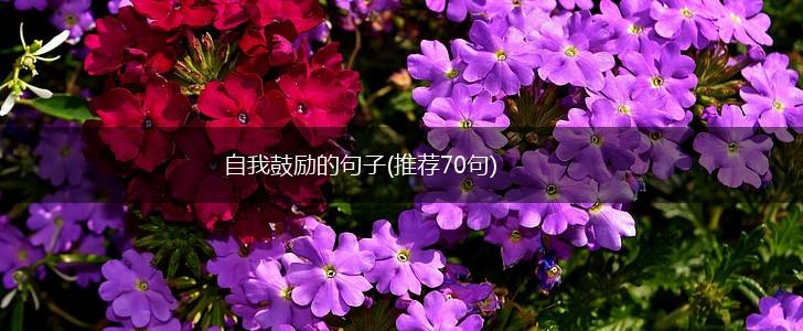 自我鼓励的句子(推荐70句),第1张