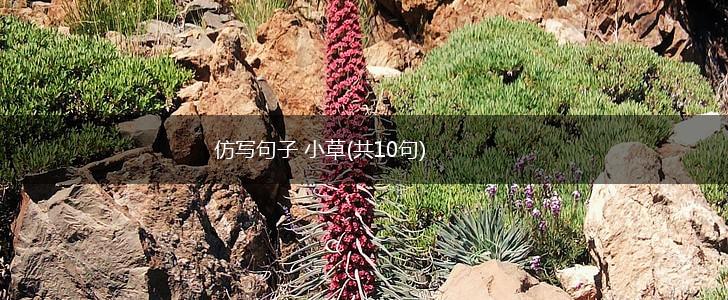 仿写句子 小草(共10句),第1张