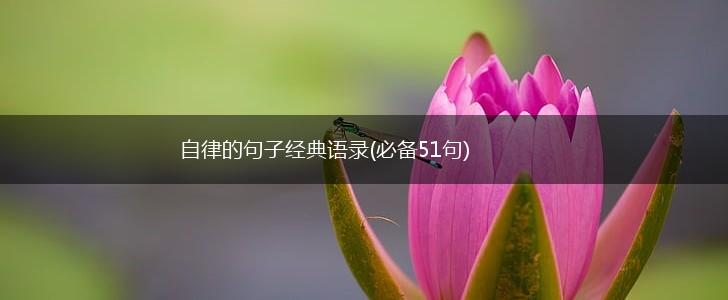 自律的句子经典语录(必备51句),第1张