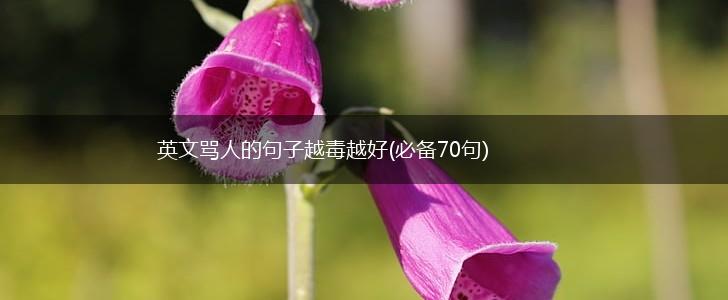 英文骂人的句子越毒越好(必备70句),第1张