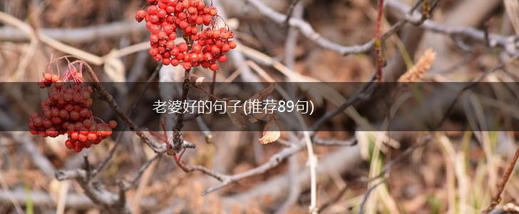 老婆好的句子(推荐89句),第1张